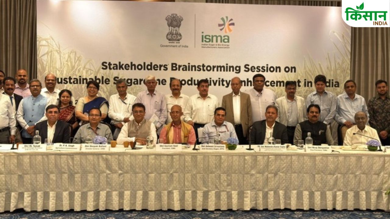 गन्ना उत्पादन बढ़ाने को लेकर ISMA की कृषि मंत्रालय के साथ बैठक, इन मुद्दों पर हुई चर्चा