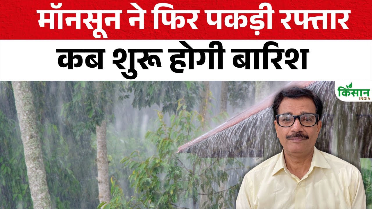 मॉनसून ने फिर पकड़ी रफ्तार, जून में कई हिस्सों में भारी बारिश की संभावना