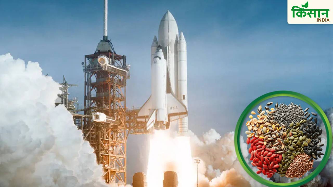अब अंतरिक्ष में होगी खेती की तैयारी, NASA के साथ भेजे गए भारतीय बीज