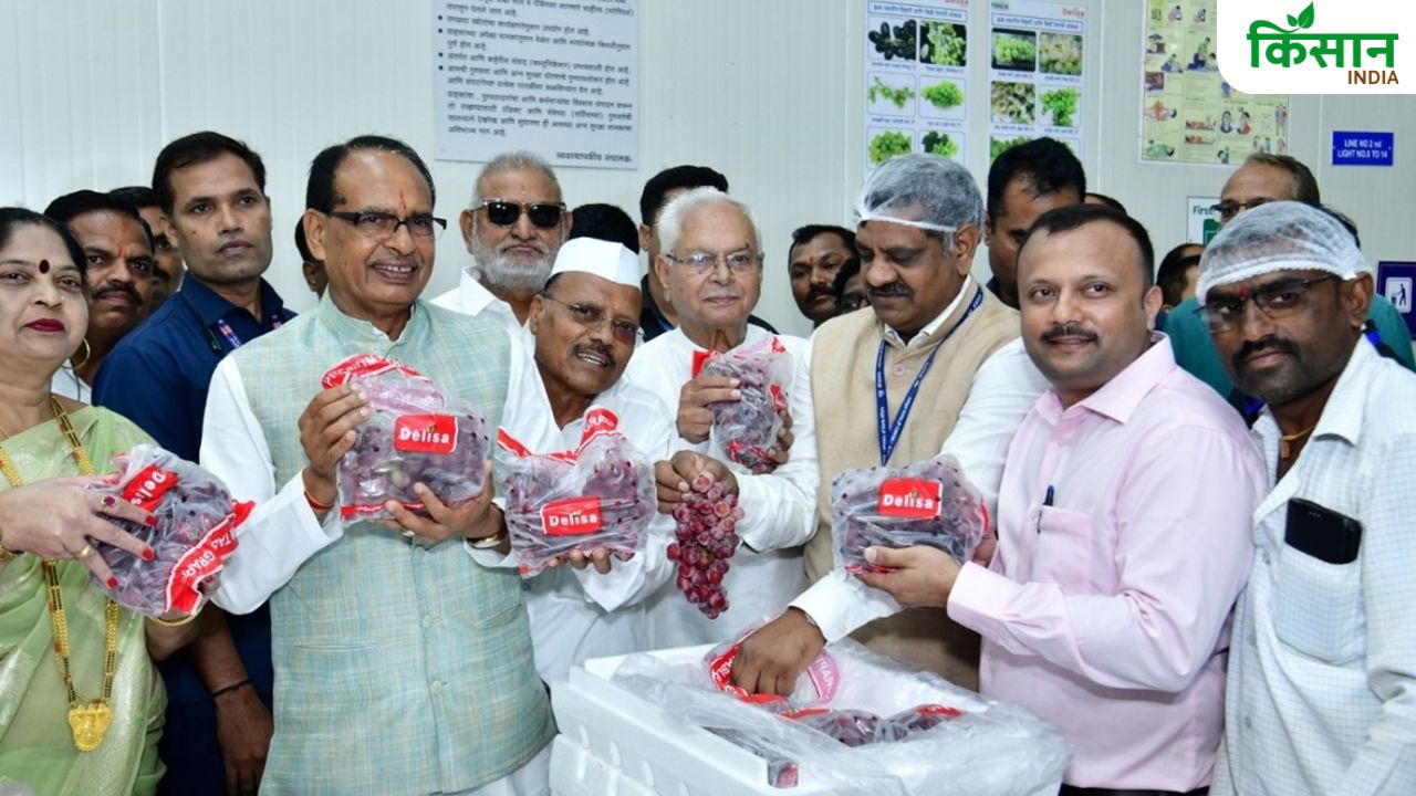 अंगूर-अनार और संतरा प्लांट बनाने की घोषणा, किसानों को नर्सरी के लिए मिलेगी 3 करोड़ की मदद