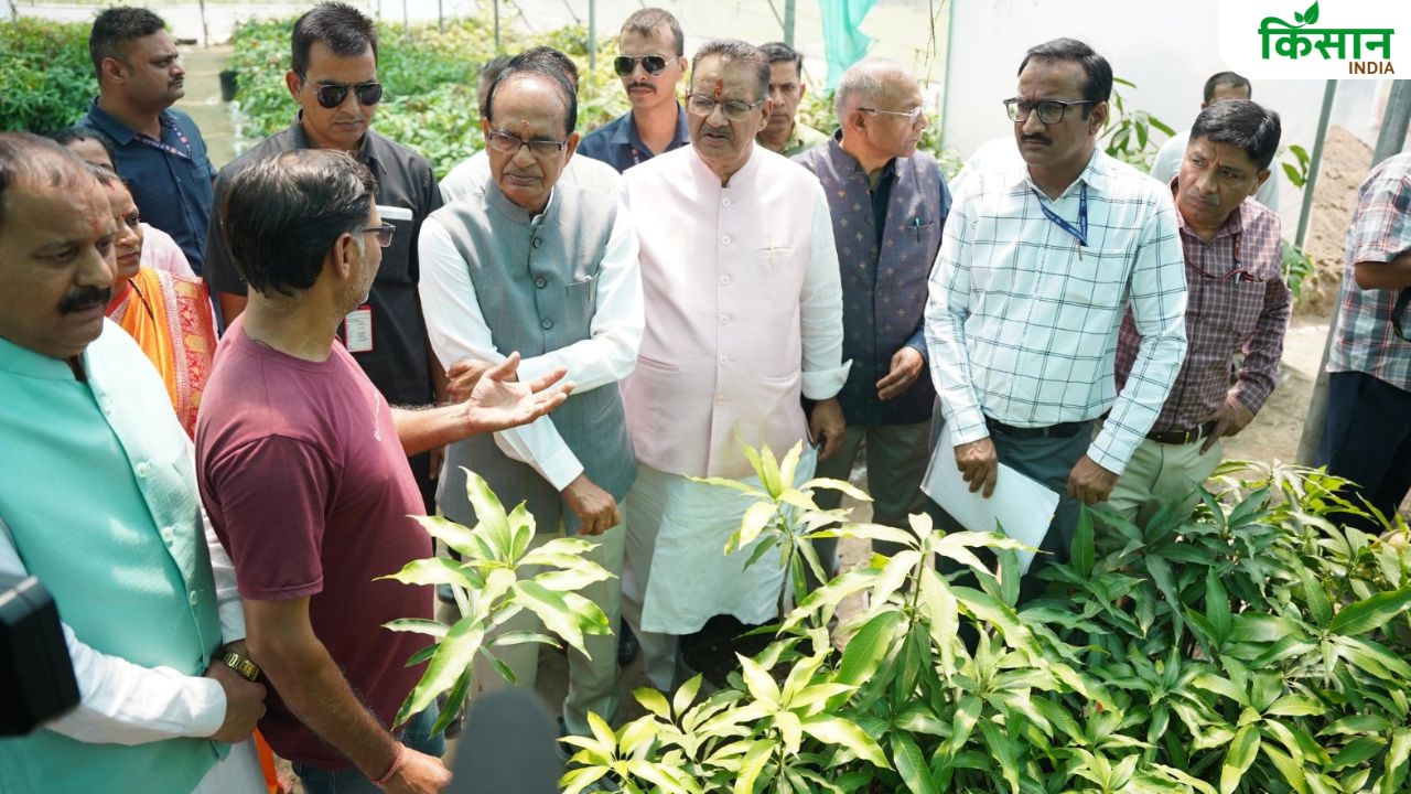 उत्तराखंड को राष्ट्रीय हॉर्टिकल्चर हब बनाने की तैयारी, फल-सब्जी विदेश भेजे जाएंगे