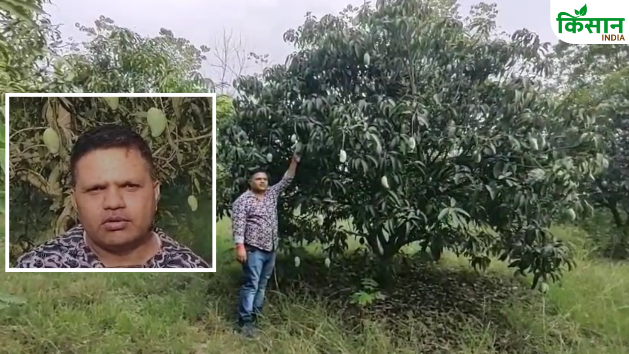 झारखंड में बंजर जमीन को बनाया उपजाऊ, आम की खेती कर रहे आनंद प्रकाश