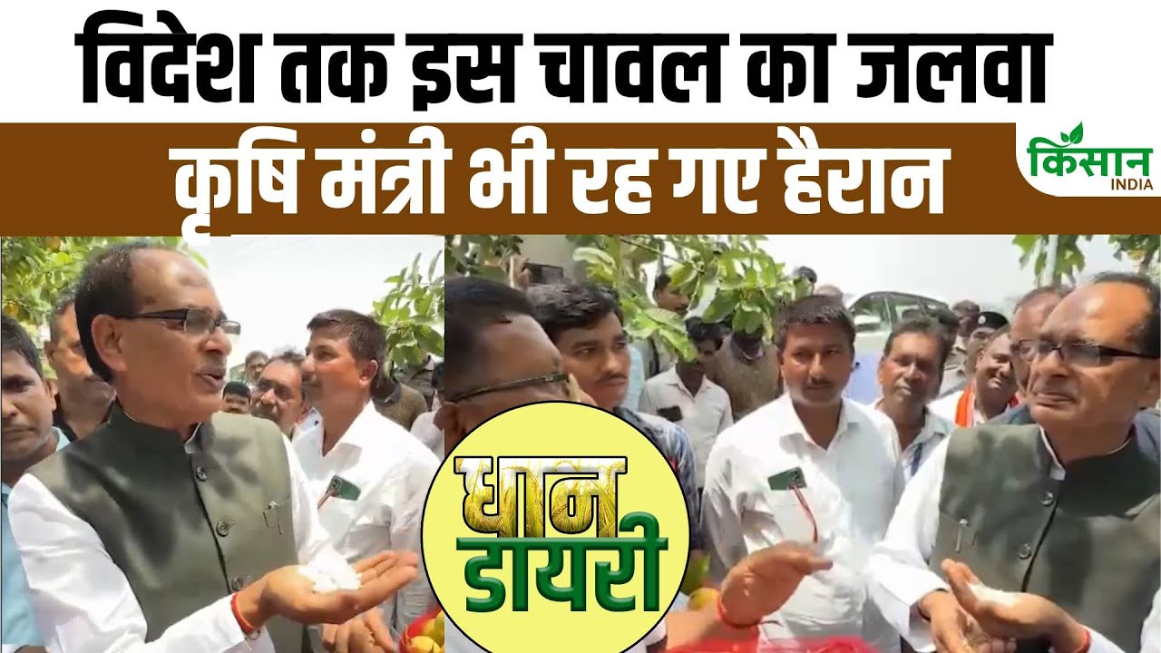 बिहार के इस चावल के मुरीद हुए कृषि मंत्री, कहा- विदेशों में बना रहा पहचान