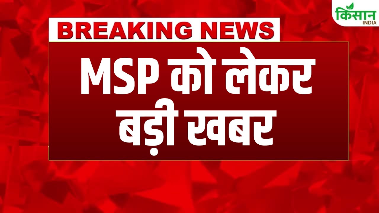 हिमाचल में MSP पर दूध की खरीद शुरू, पशुपालन क्षेत्र को मजबूत बनाने के लिए सरकार का अहम कदम