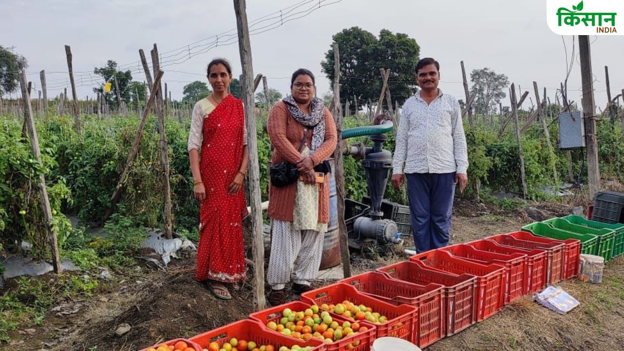स्मार्ट खेती से किसान बना लखपति, टमाटर-बैगन और लहसुन-खीरा से सालाना 15 लाख कमाई