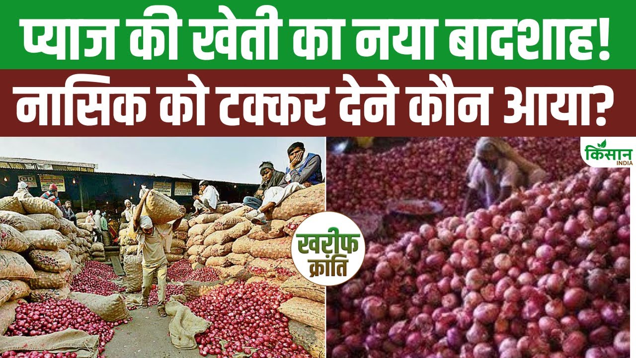 Onion Farming: प्याज की खेती में Nasik की बादशाहत खतरे में? जानिए अलवर का कमाल