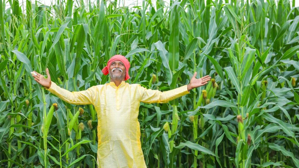 अब सिर्फ पीएम किसान योजना में नाम जुड़वाना काफी नहीं है. सरकार ने अब Farmer Registry को भी अनिवार्य कर दिया है. इसे आप राज्य सरकार के किसान पोर्टल या फिर CSC सेंटर पर जाकर पूरा कर सकते हैं. इसके बिना आपकी किस्त अटक सकती है. अब सिर्फ पीएम किसान योजना में नाम जुड़वाना काफी नहीं है. सरकार ने अब Farmer Registry को भी अनिवार्य कर दिया है. इसे आप राज्य सरकार के किसान पोर्टल या फिर CSC सेंटर पर जाकर पूरा कर सकते हैं. इसके बिना आपकी किस्त अटक सकती है.