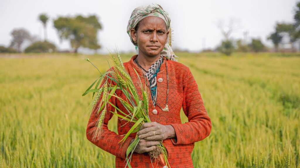 अगर आपने अभी तक जरूरी प्रक्रियाएं जैसे eKYC, बैंक डिटेल्स सुधार या Farmer Registry पूरी नहीं की है, तो 31 जुलाई 2025 से पहले यह सब कर लें. वरना न सिर्फ इस बार की किस्त बल्कि आगे आने वाली किस्तों पर भी असर पड़ सकता है. अगर आपने अभी तक जरूरी प्रक्रियाएं जैसे eKYC, बैंक डिटेल्स सुधार या Farmer Registry पूरी नहीं की है, तो 31 जुलाई 2025 से पहले यह सब कर लें. वरना न सिर्फ इस बार की किस्त बल्कि आगे आने वाली किस्तों पर भी असर पड़ सकता है.