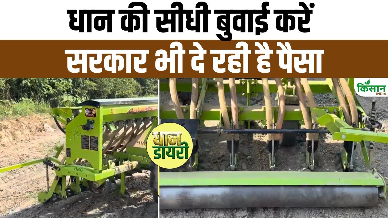 धान की खेती के लिए किसानों की पसंद DSR तकनीक, जानिए क्यों है खास