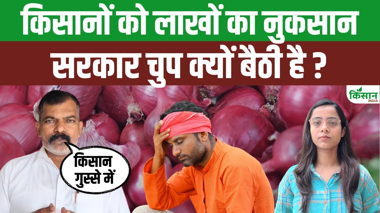 प्याज की गिरती कीमतों ने किसानों को रुलाया, सरकार से लगा रहे मदद की गुहार