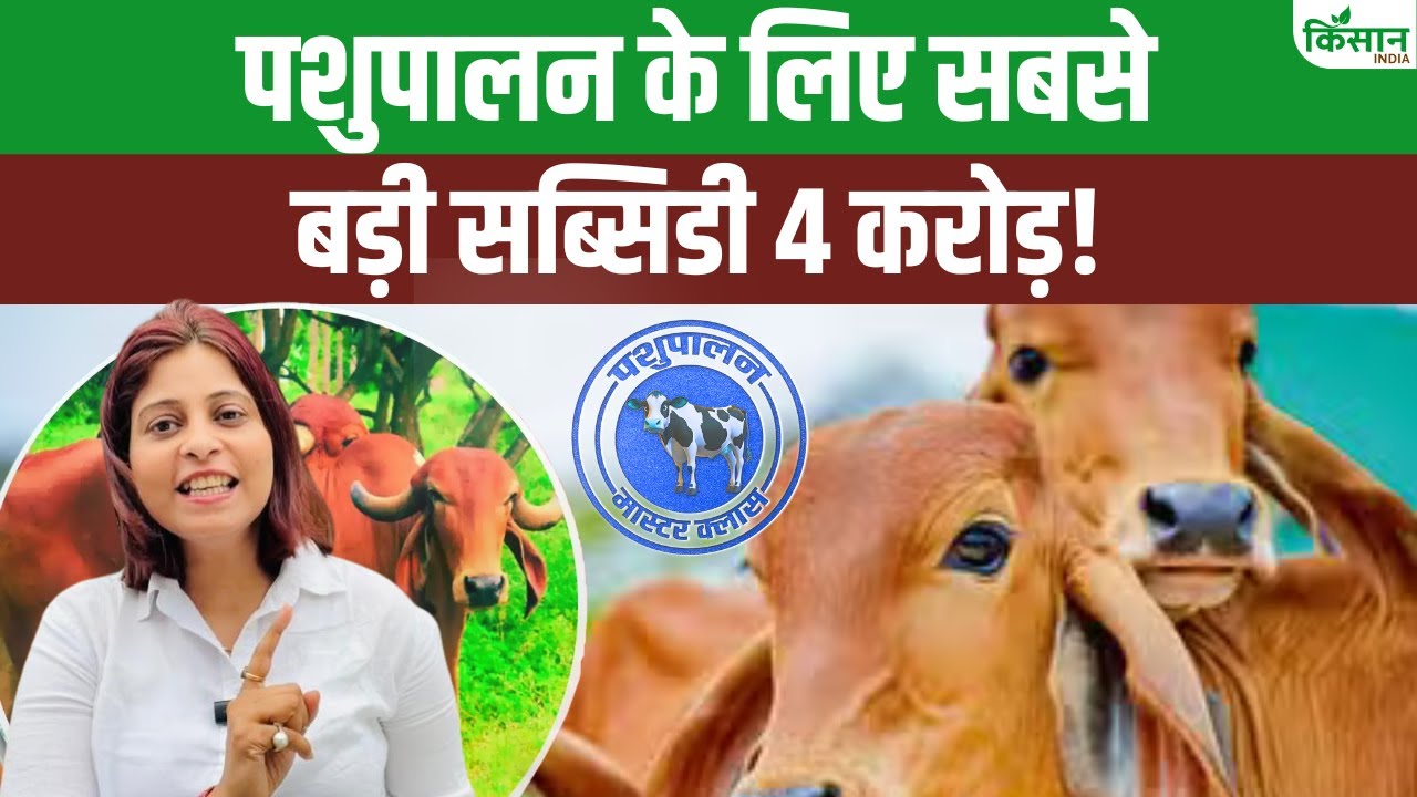 पशुपालकों को सरकार दे रही 4 करोड़ तक सब्सिडी, दूध उत्पादन बढ़ाने में होगी मदद