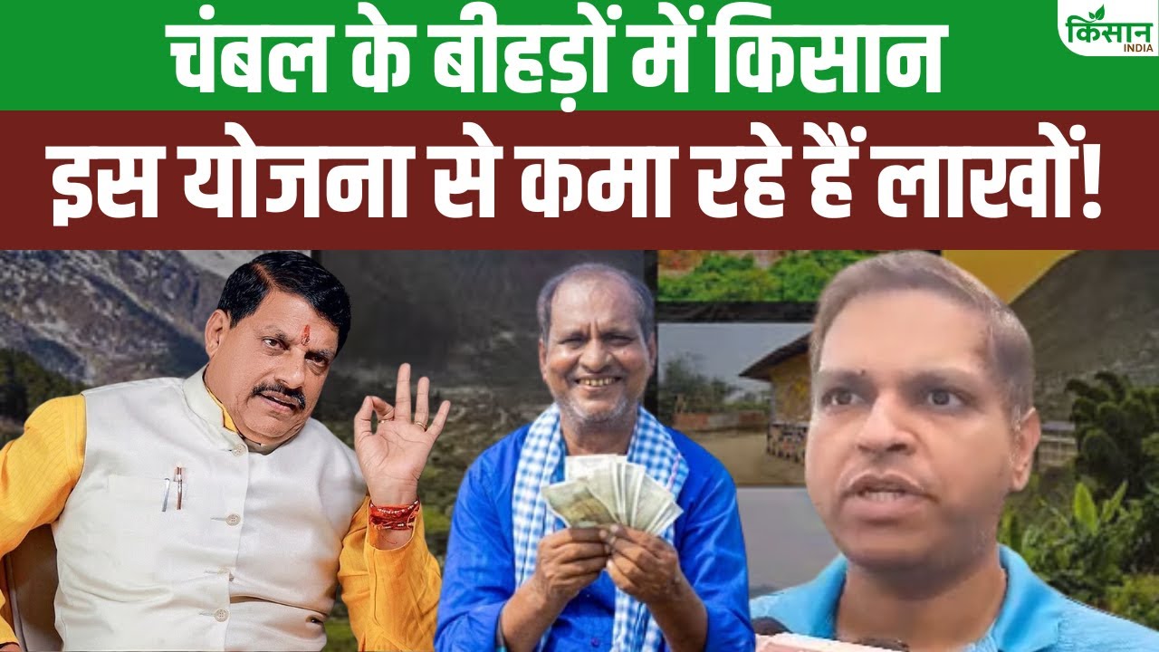 चंबल के बीहड़ बन रहे ग्रामीण पर्यटन का केंद्र, किसानों को हो रहा लाखों में फायदा