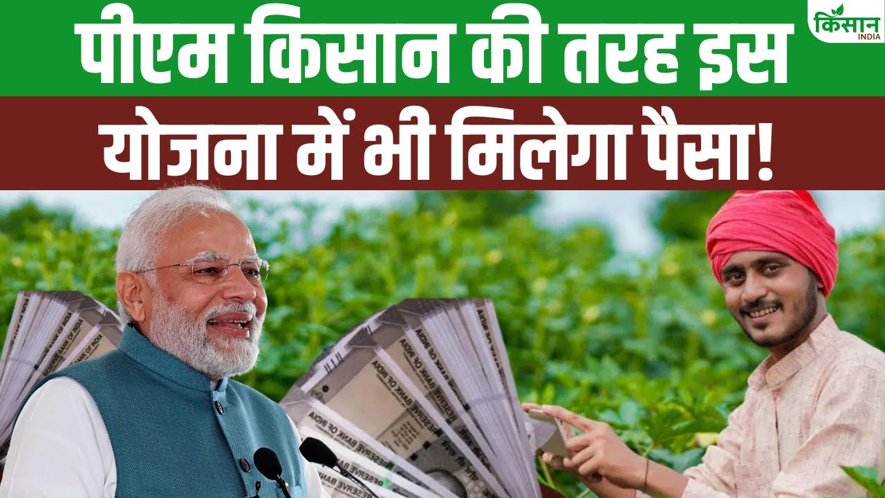 बुजुर्गों के लिए है PM श्रम योगी मानधन योजना, 60 साल से ऊपर के लोग अभी करें आवेदन