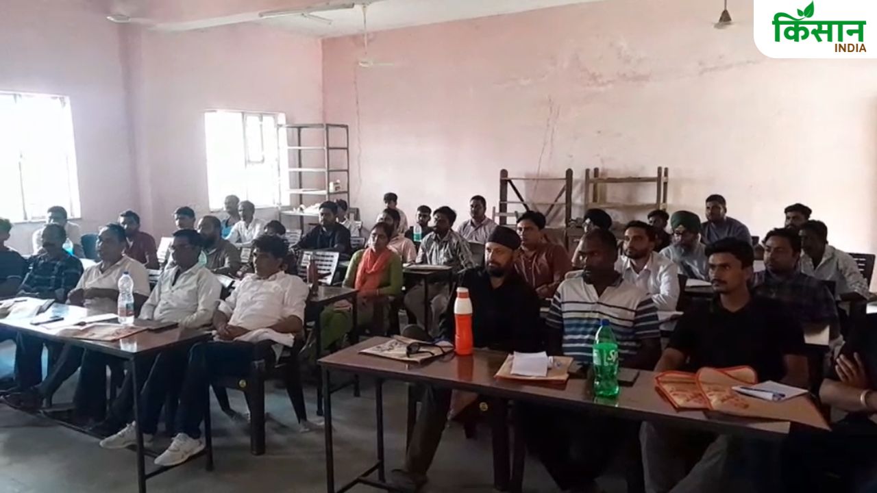 खेती छोड़ सूअर पालन की ओर बढ़ रहे किसान, ट्रेनिंग लेकर व्यापार से कमा रहे मोटा मुनाफा