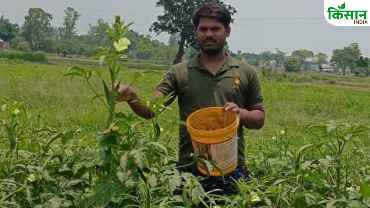 नेतागिरी छोड़ फुलटाइम किसानी करने लगे रिंकू, मॉडर्न तरीके अपनाकर अच्छी उपज से कर रहे कमाई