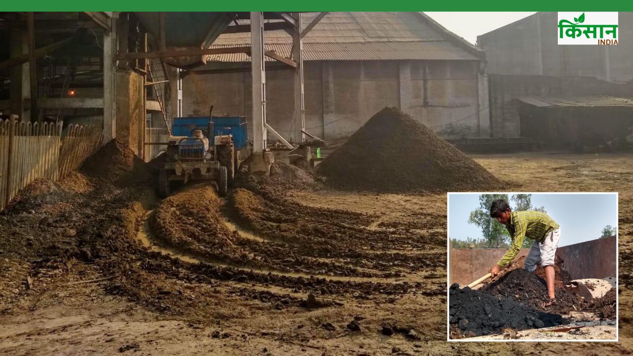 चीनी मिल के कचरे से बनेगी जैविक खाद, खेतों में लहलहाएगी फसल