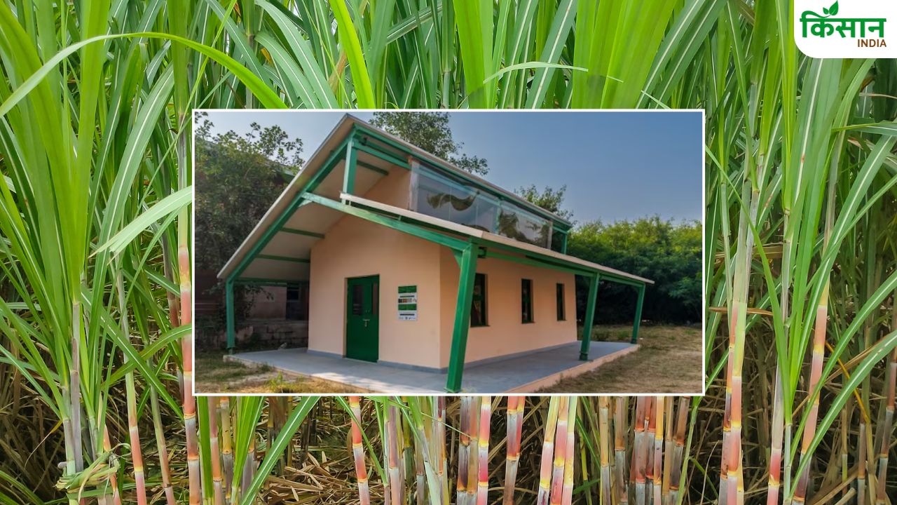 Sugarcane कचरे की ईंटों से बना भारत का पहला स्कूल, इसकी खूबियां आपको चौंका देंगी