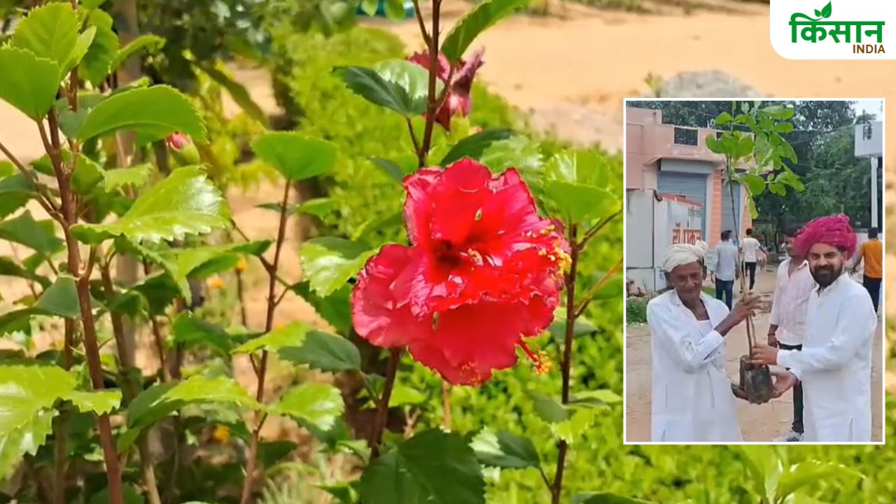 धरती को हराभरा बनाने के लिए 11 लाख पौधे लगा रहे अमर, इंग्लैंड से पढ़कर लौटे और नाम पड़ा ट्रीमैन