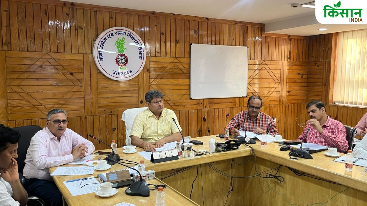 गन्ना किसानों को मिलेंगे रोग रहित बीज, टिश्यू कल्चर के इस्तेमाल से नई किस्मों का होगा उत्पादन
