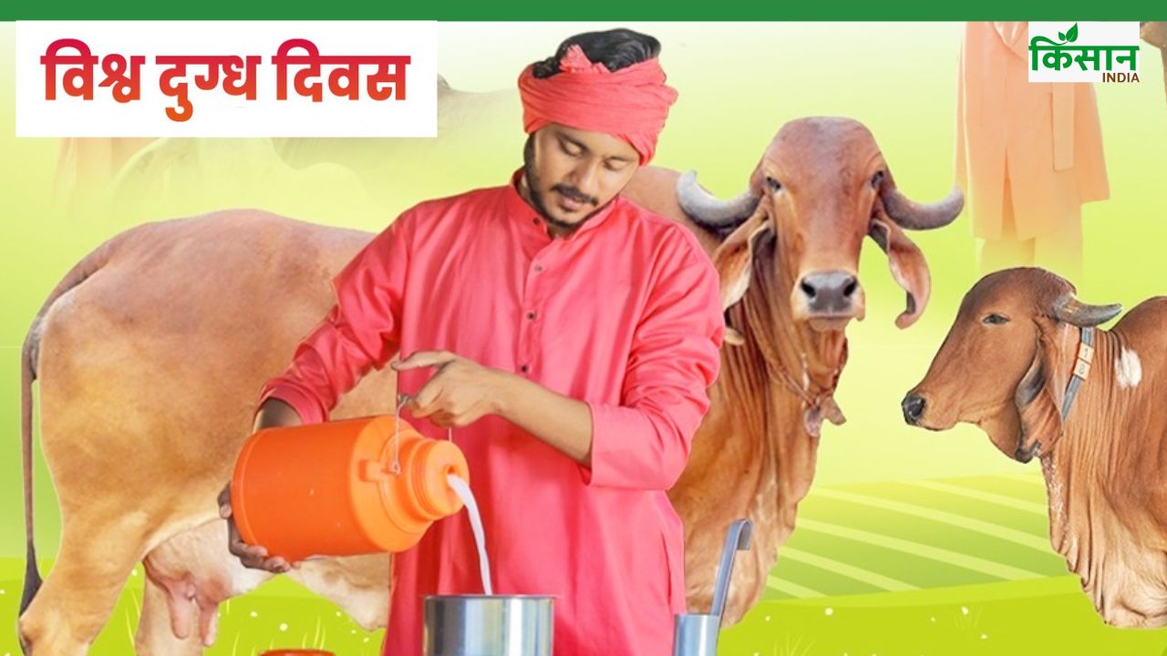 26 साल से दूध उत्पादन में भारत नंबर वन, डेयरी सेक्टर बदल रहा किसानों की किस्मत