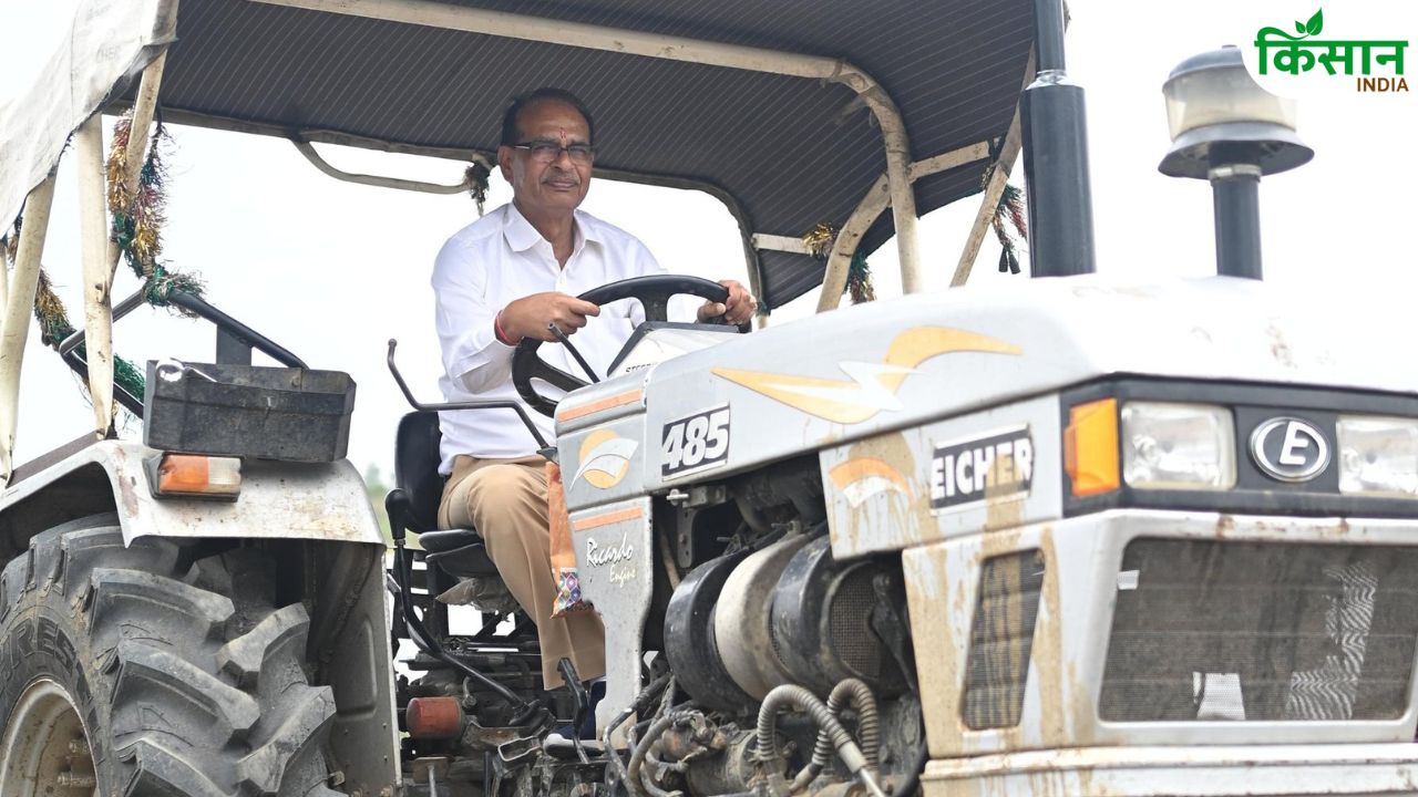अपने खेत में शिमला मिर्च फसल की मल्चिंग करने पहुंचे कृषि मंत्री, मॉडर्न तकनीक के बताए फायदे