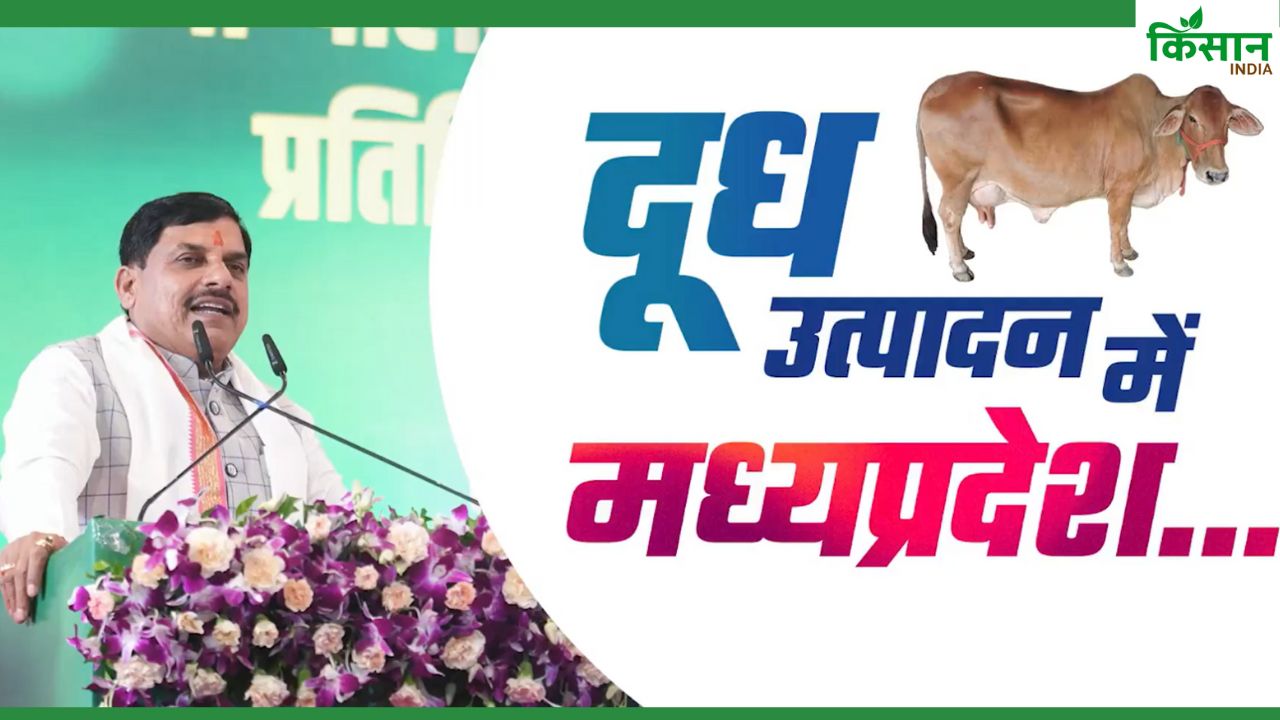 प्राकृतिक खाद से उगे अनाज का ज्यादा भाव देने की घोषणा, 17 हजार नई दुग्ध समितियां बनेंगी