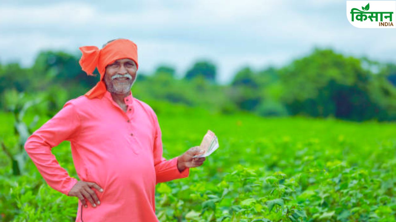 ये दो काम करा लिए हैं तो मिलेगी PM Kisan की 20वीं किस्त, ऐसे लाभार्थियों के कटे नाम