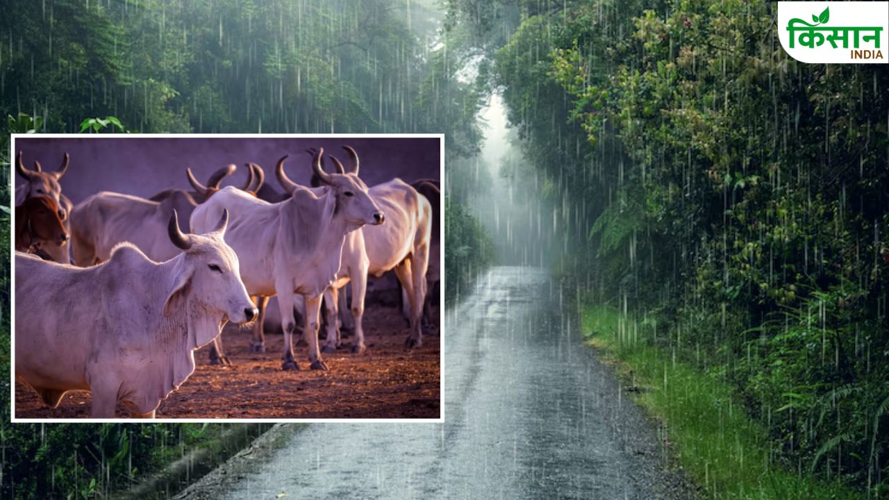 15 जून से शुरू होगा पशुओं का कंट्रोल रूम, बाढ़-ओलावृष्टि से बचाने की पूरी तैयारी