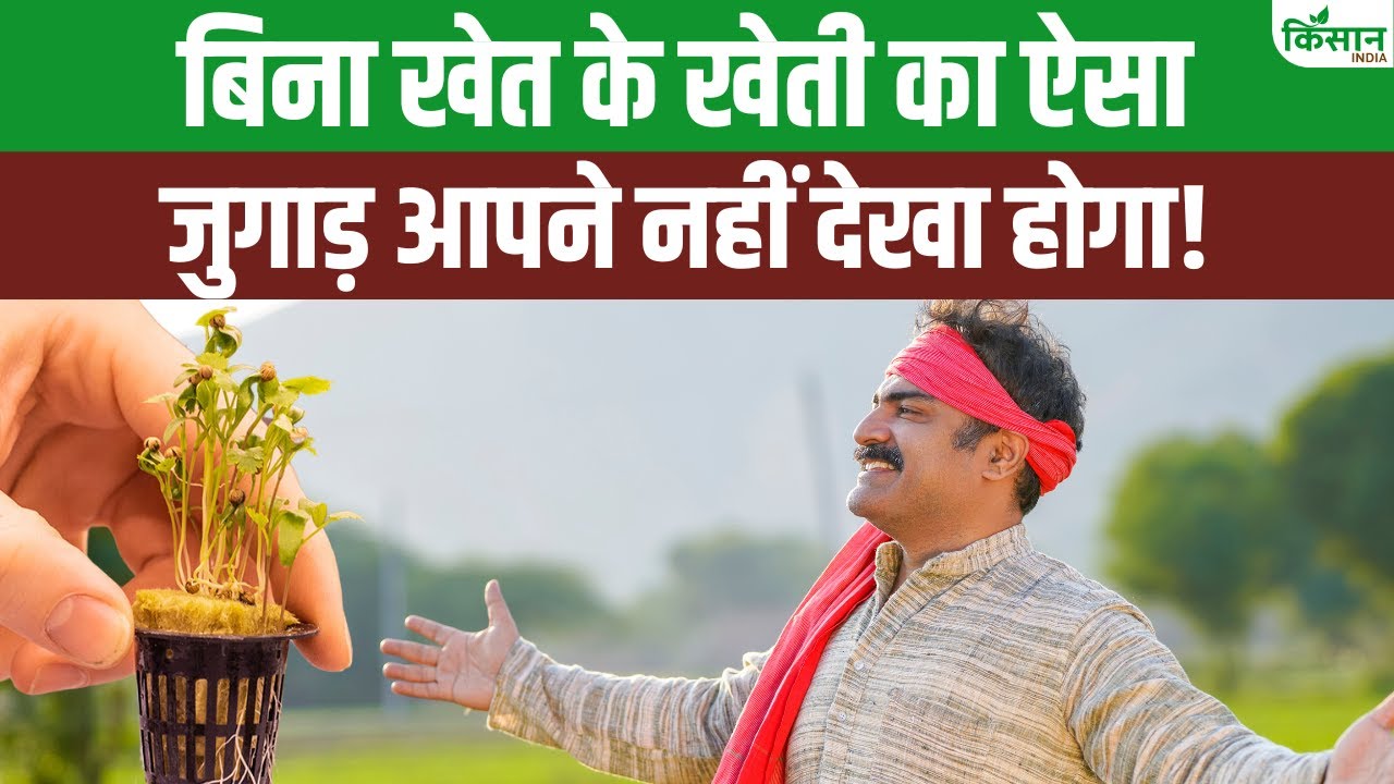बिना जमीन के भी कर सकते हैं खेती, वर्टिकल खेती से छत और बालकनी में उगाएं पौधे