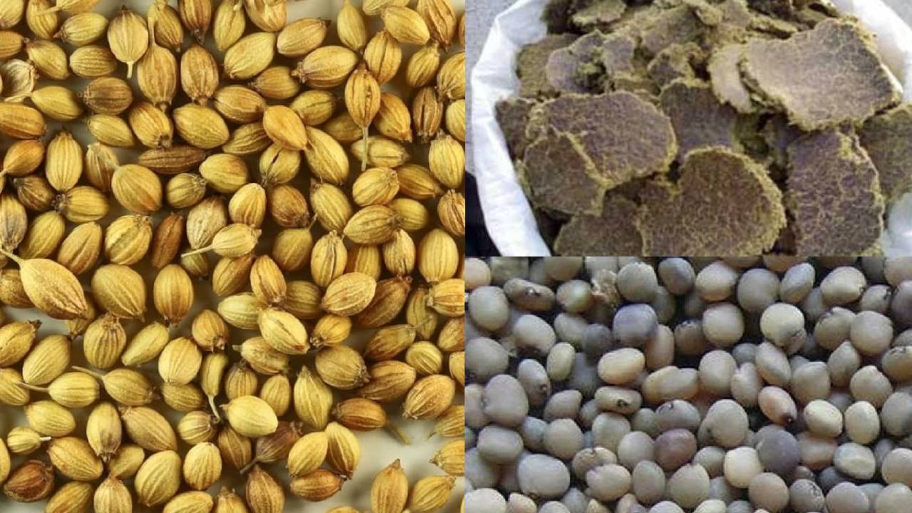 जून में कमोडिटी मार्केट में लौटी रौनक- बढ़ी धनिया, कपास खली और ग्वार गम की कीमतें