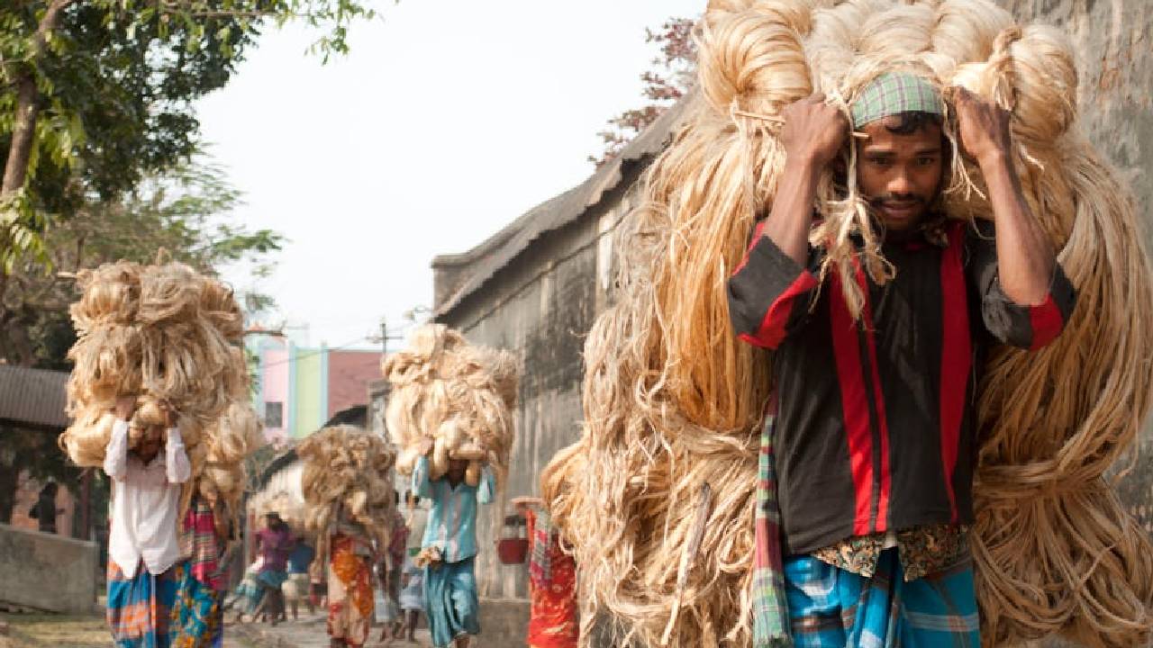 बढ़ती जूट कीमतों के बीच सरकार का सख्त कदम, जमाखोरी रोकने के लिए स्टॉक लिमिट तय
