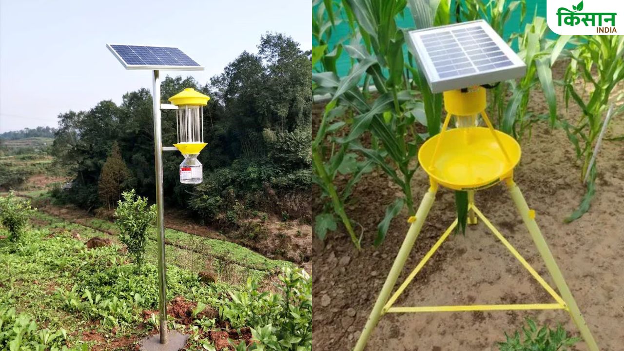 फसल चौपट करने वाले कीटों को खत्म करेगा सोलर लाइट ट्रैप, घर पर बनाइये जुगाड़
