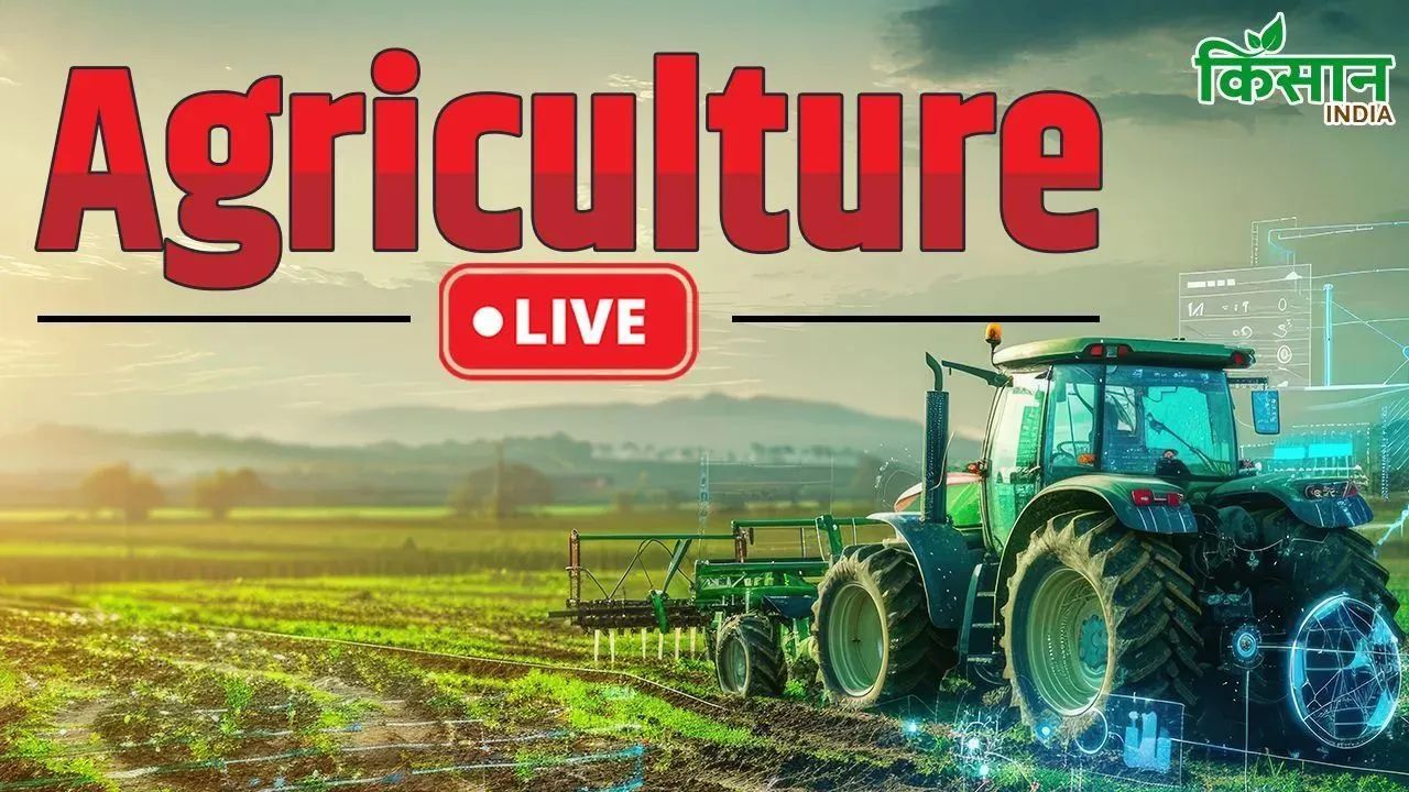 बिहार में बनीं 1843 सड़‍कें और 852 पुल, ग्रामीण संपर्क हुआ मजबूत