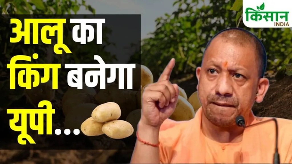 आलू किसानों के लिए केंद्र का बड़ा फैसला, यूपी में पोटैटो सेंटर के लिए 111 करोड़ मंजूर