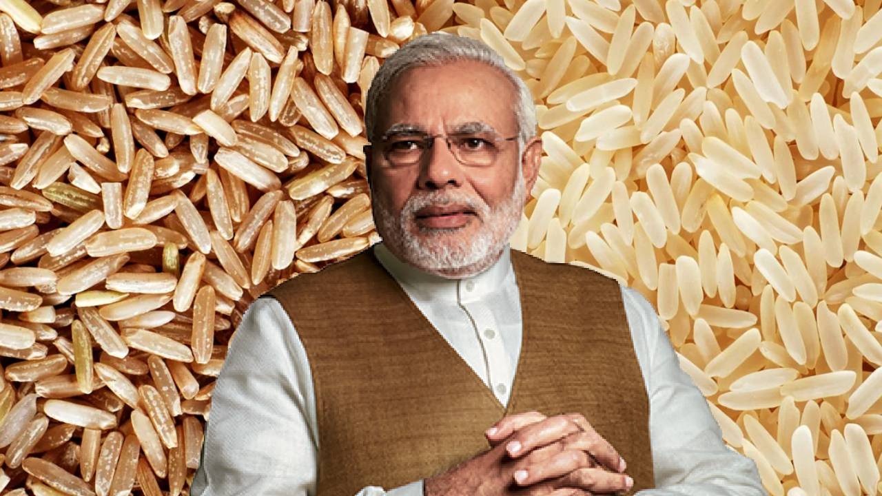 किसानों के लिए खतरा बन सकती हैं चावल की दो नई किस्में, वैज्ञानिकों ने PM को लिखा खत