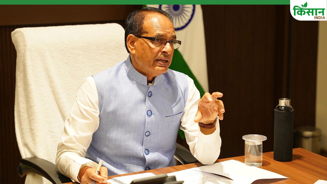 मूंग-उड़द किसानों के लिए केंद्र का बड़ा फैसला, मूल्य समर्थन योजना के तहत खरीद को मंजूरी