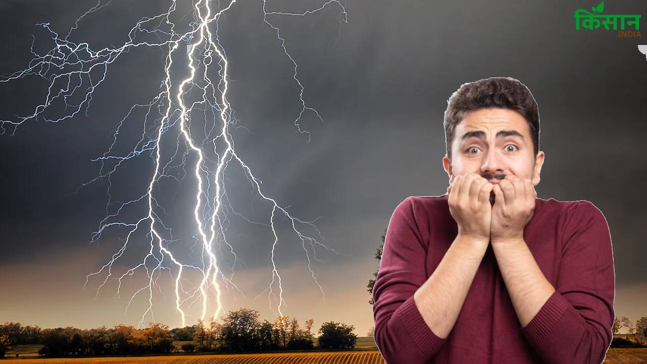 बिहार में आकाशीय बिजली से 2,000 मौतें, ताड़ के पेड़ों की कटाई बनी वजह? NGT ने मांगा जवाब