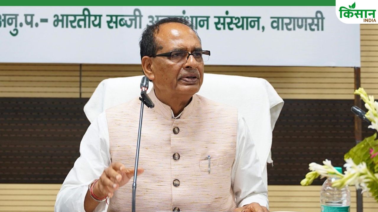 सब्जी फसलों की 129 नई हाइब्रिड किस्में तैयार, जलवायु बदलाव से उपज को नहीं होगा नुकसान