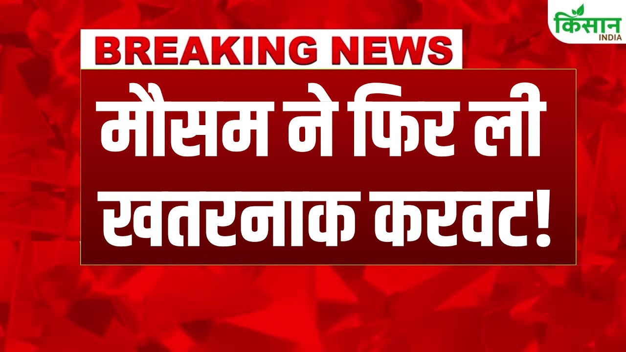 मॉनसून ने फिर पकड़ी रफ्तार, देश के कई राज्यों में भारी बारिश की अलर्ट