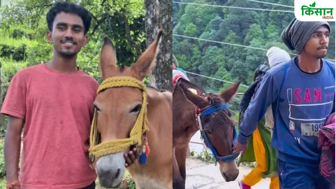 युवाओं के लिए प्रेरणा बने अतुल, घोड़ा-खच्चर गाड़ी चलाकर की पढ़ाई.. अब सीएम ने की तारीफ