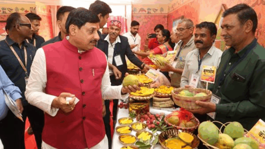 फल विक्रेता से बातचीत करते हुए सीएम मोहन यादव ने जाना उसका हाल, पूछा कारोबार कैसा चल रहा है भैया? इस अपनापन ने हर किसी को छू लिया. फल विक्रेता से बातचीत करते हुए सीएम मोहन यादव ने जाना उसका हाल, पूछा कारोबार कैसा चल रहा है भैया? इस अपनापन ने हर किसी को छू लिया.