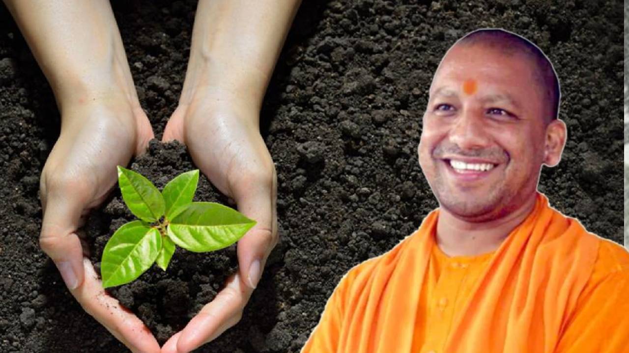 उत्तर प्रदेश में आज हरियाली का पर्व, एक दिन में लगेंगे 37 करोड़ पौधे