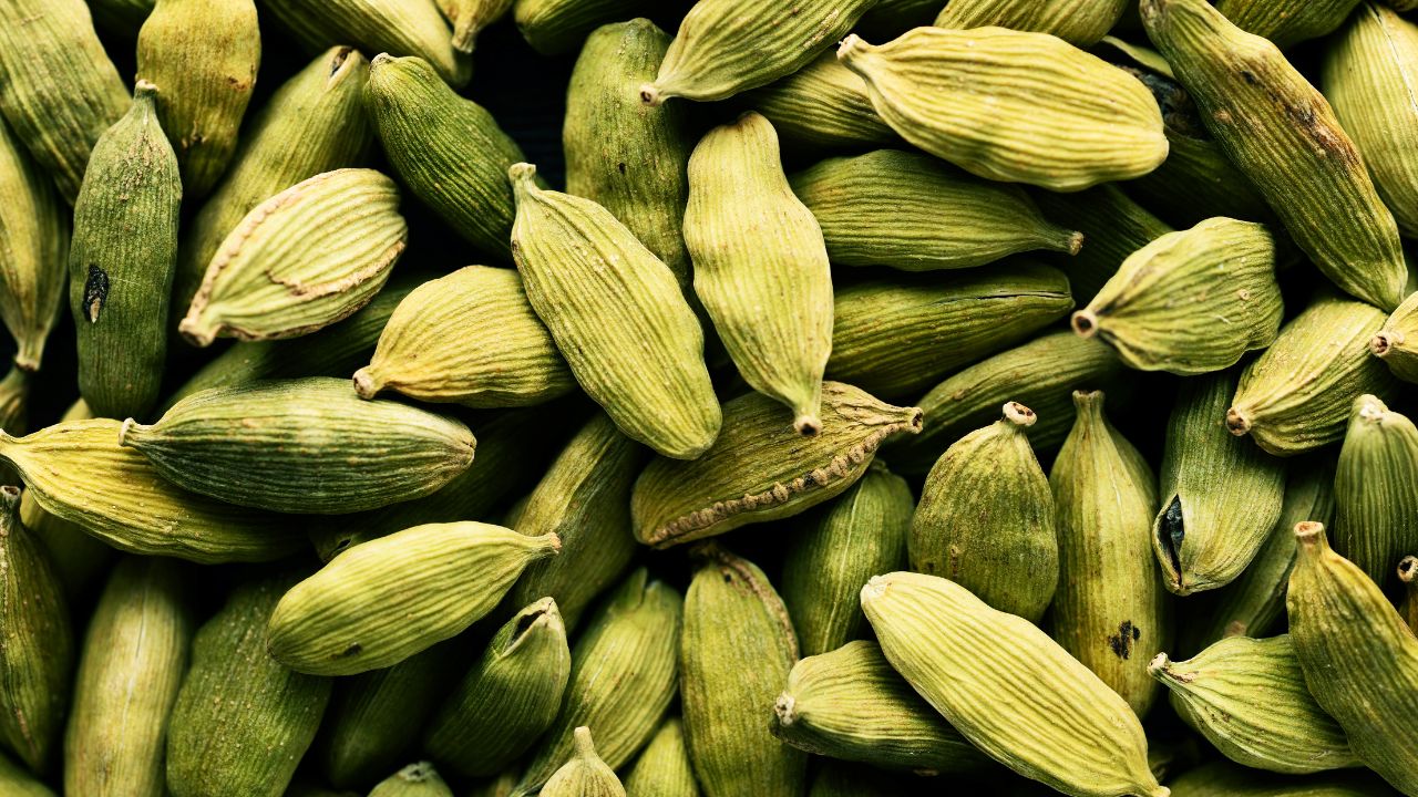 MCX ने शुरू किया इलायची फ्यूचर्स कॉन्ट्रैक्ट, किसानों और व्यापारियों को मिलेगा बड़ा फायदा