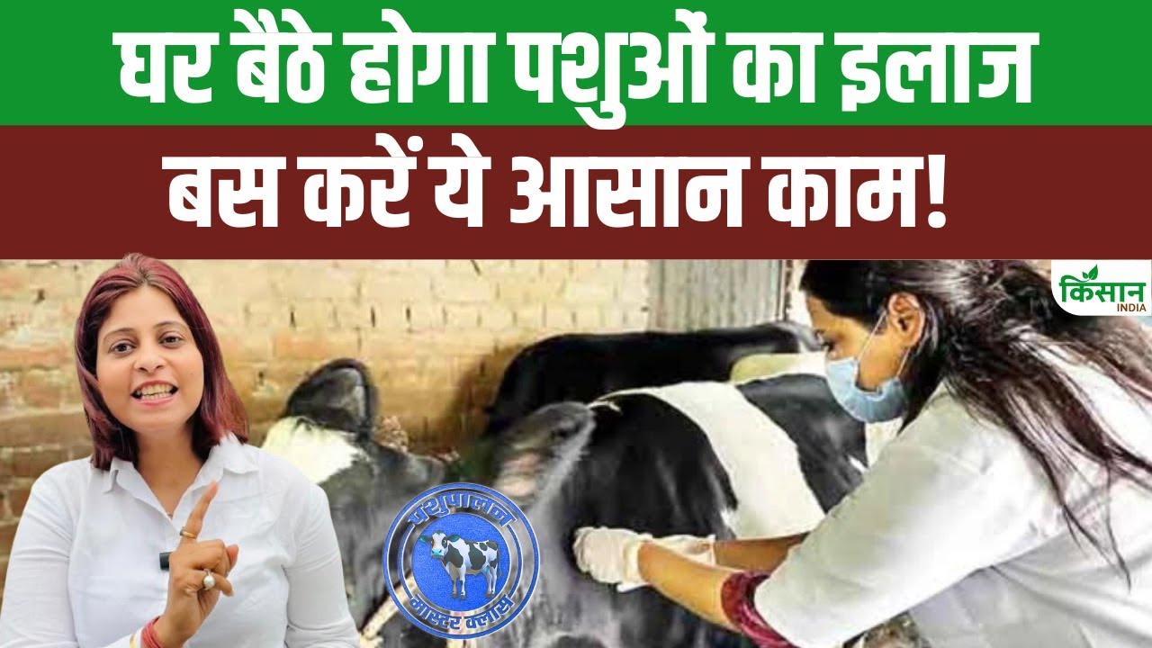अब घर बैठे होगा पशुओं का इलाज, छत्तीसगढ़ में शुरू हुई मोबाइल वेटरनरी यूनिट सेवा
