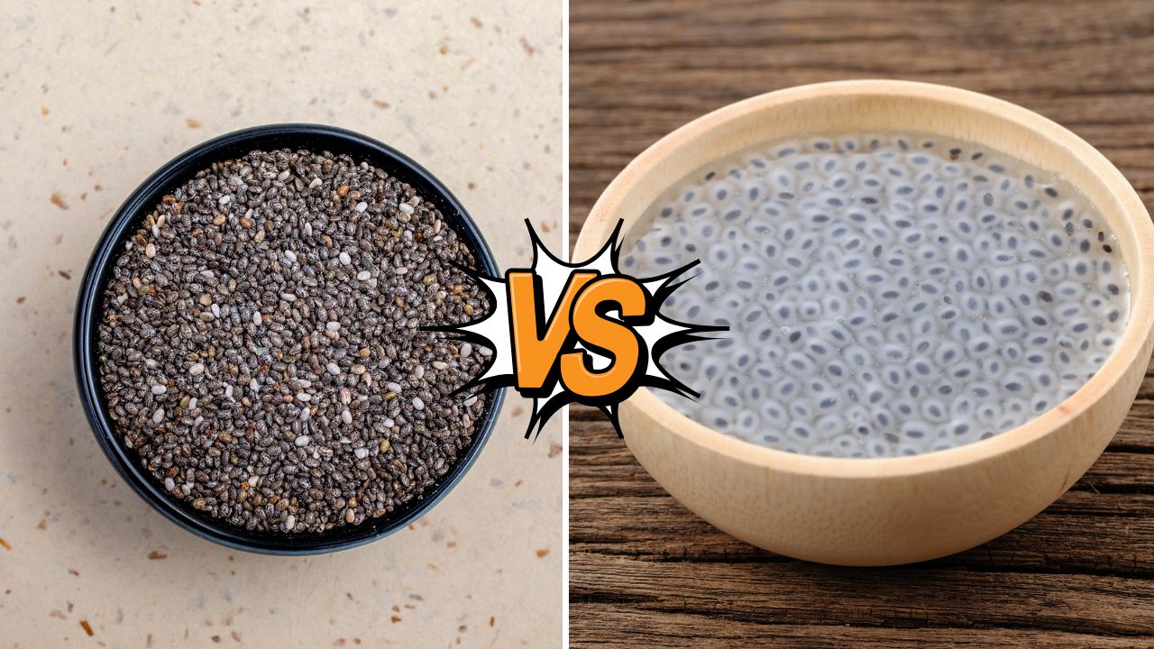 आप भी तो Chia और Sabja को एक नहीं समझते? स्वाद से लेकर असर तक दोनों में है जमीन-आसमान का फर्क!