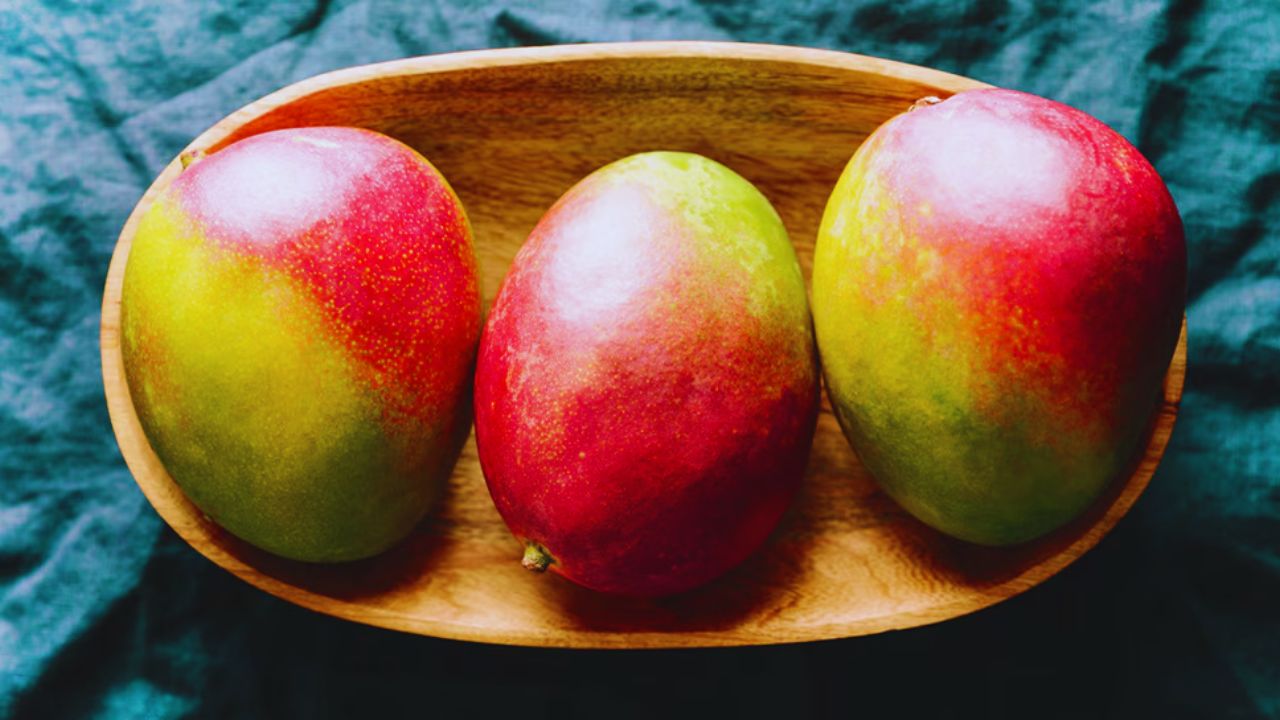 Most Expensive Mango: दुनिया के सबसे महंगे हैं ये 5 आम, इनकी कीमत आपको चौंका देगी