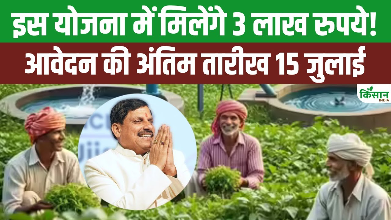 Ek Bagiya Maa Ke Naam Yojna: बस इतनी एकड़ जमीन पर शुरू करें ये काम और सरकार देगी लाखों रुपये!