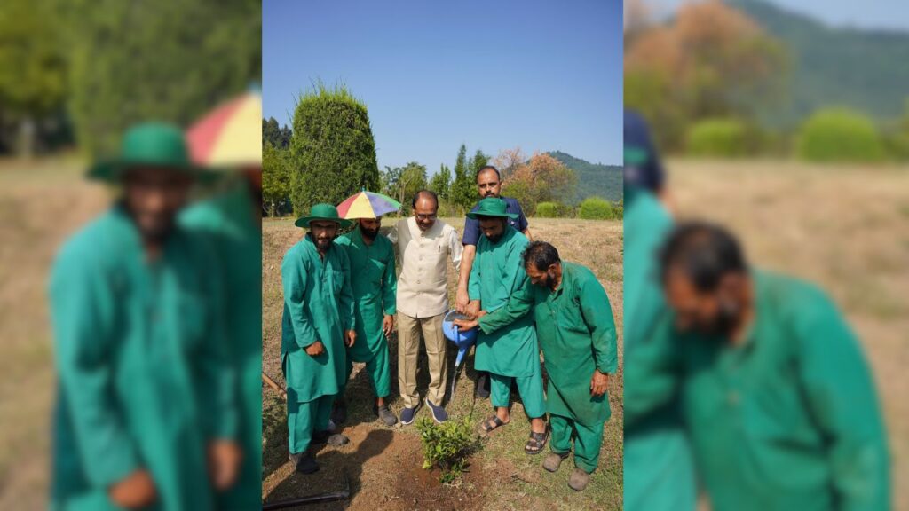 सेब उत्पादन बढ़ाने के लिए रिसर्च को प्राथमिकता दी जाएगी, विदेशों से आने वाले सेब पर ड्यूटी बढ़ाने की भी तैयारी, जिससे स्थानीय सेब को बढ़ावा मिलेगा. सेब उत्पादन बढ़ाने के लिए रिसर्च को प्राथमिकता दी जाएगी, विदेशों से आने वाले सेब पर ड्यूटी बढ़ाने की भी तैयारी, जिससे स्थानीय सेब को बढ़ावा मिलेगा.