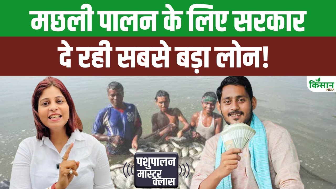 मछली पालन पर यूपी सरकार दे रही 15 लाख तक लोन, जानें आवेदन करने की पूरी प्रक्रिया