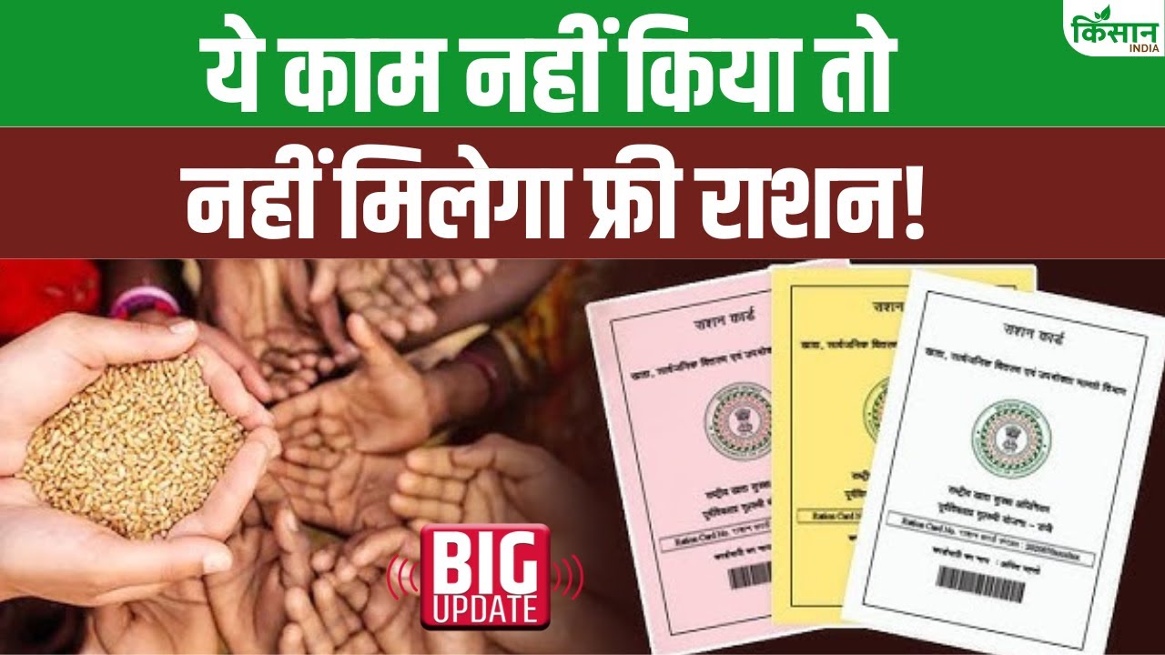 80 करोड़ राशन कार्ड लाभार्थियों को बड़ा अलर्ट! ये काम कर लें वरना बंद हो जाएगा फ्री राशन